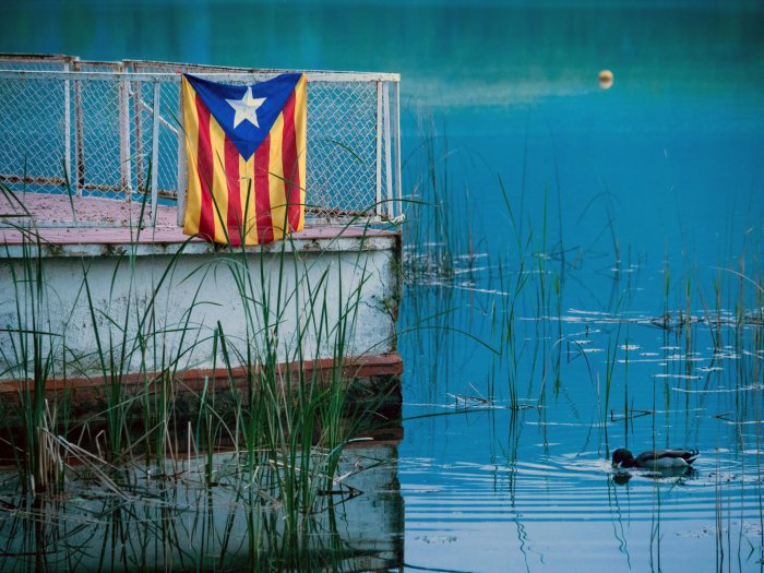 Paisajes evanescentes, la revolución del amarillo